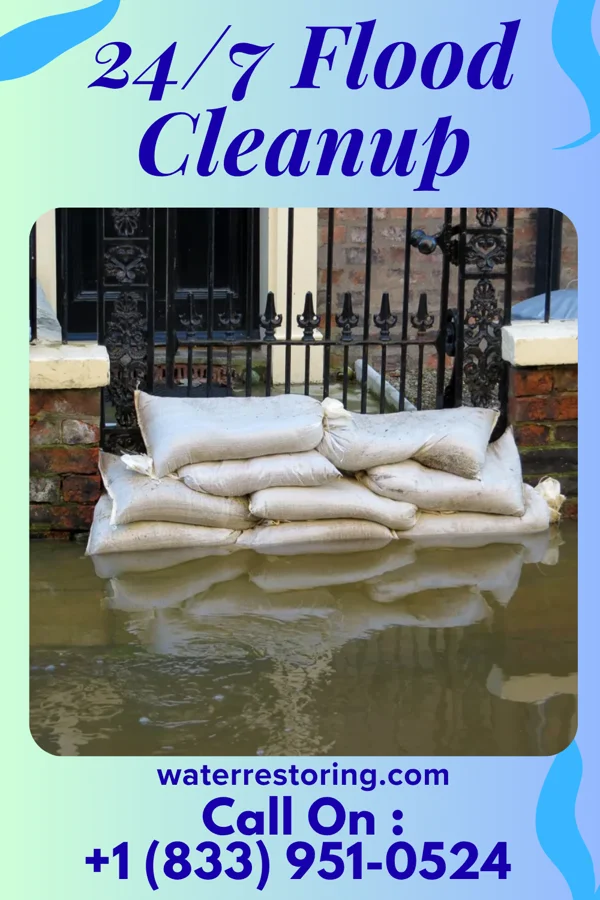 24/7 Flood Cleanup in Elmwood Park, WI