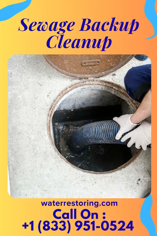 Sewage Backup Cleanup in Elmwood Park, WI